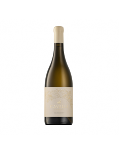 CAVALLI Chardonnay,...